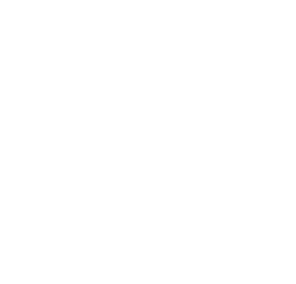 Dental Estetik