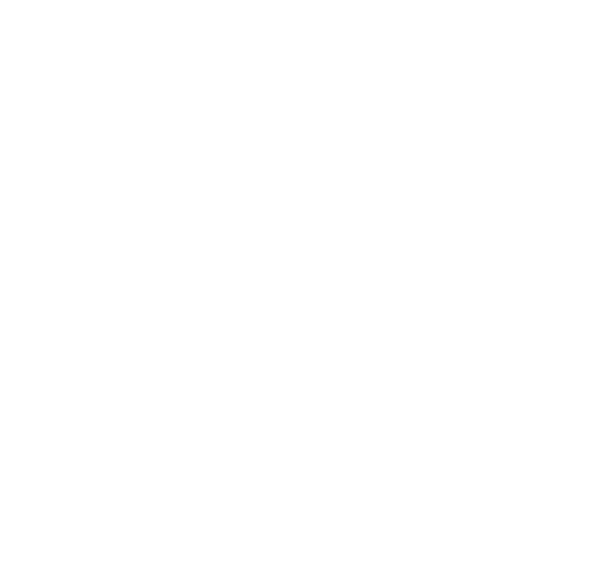 Ulus